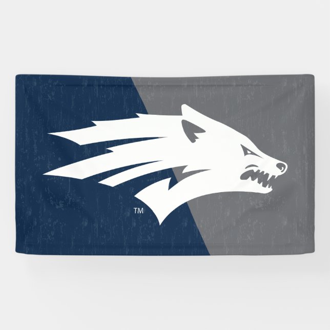 University of Nevada Color Block Distressed Banner (Horizontal)