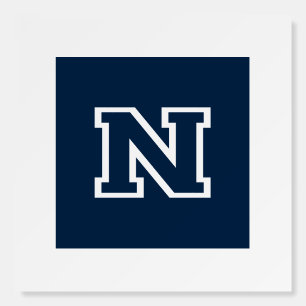 University of Nevada Foam Board