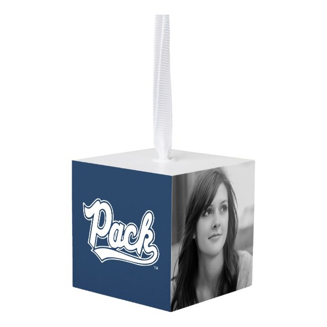 University of Nevada Pack Cube Ornament (Back Angled)