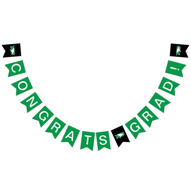 University of North Dakota Graduate Bunting Flags (All)