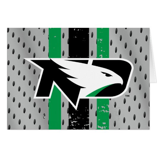 University of North Dakota Logo Jersey (Front Horizontal)