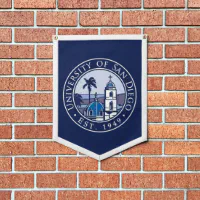 University at Buffalo Navy Felt Pennant Vintage College Wall 