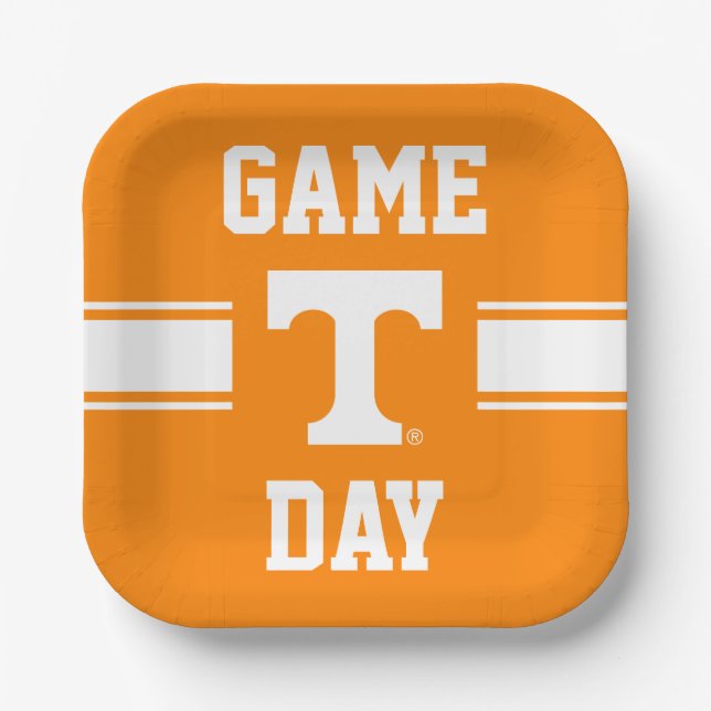 University of Tennessee Game Day Paper Plates (Front)