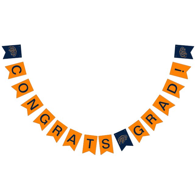 University of Texas El Paso Graduation Bunting Flags (All)