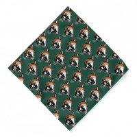 University of Vermont Catamount