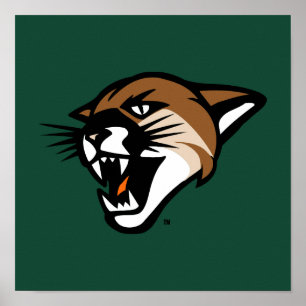 University of Vermont Catamount Poster