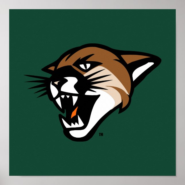 University of Vermont Catamount Poster (Front)