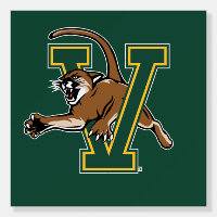University of Vermont Catamount V