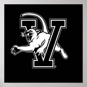 University of Vermont Catamount V Poster