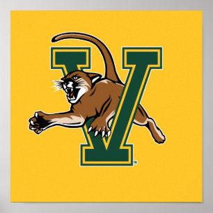 University of Vermont Catamount V Poster