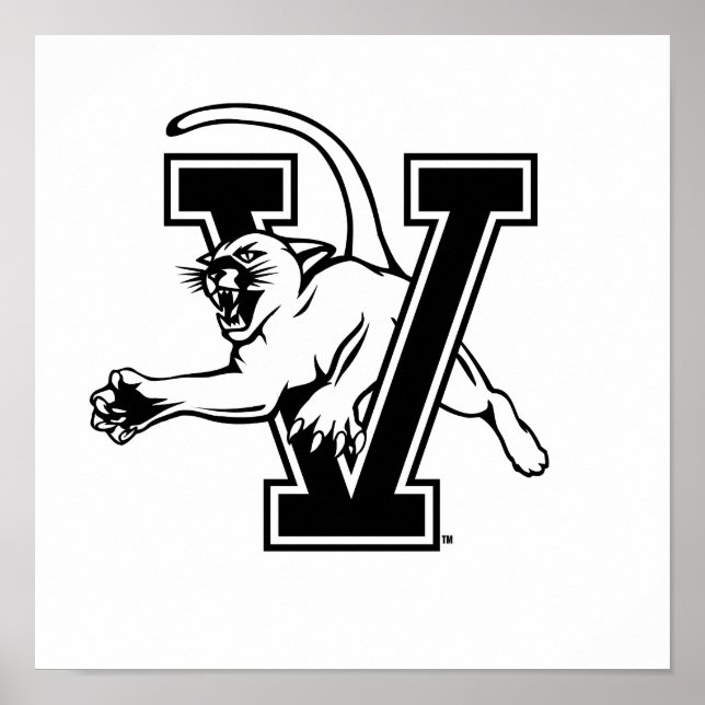University of Vermont Catamount V Poster (Front)
