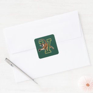 University of Vermont Catamount V Square Sticker