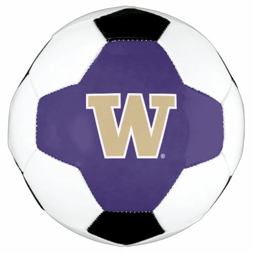 University of Washington Soccer Ball