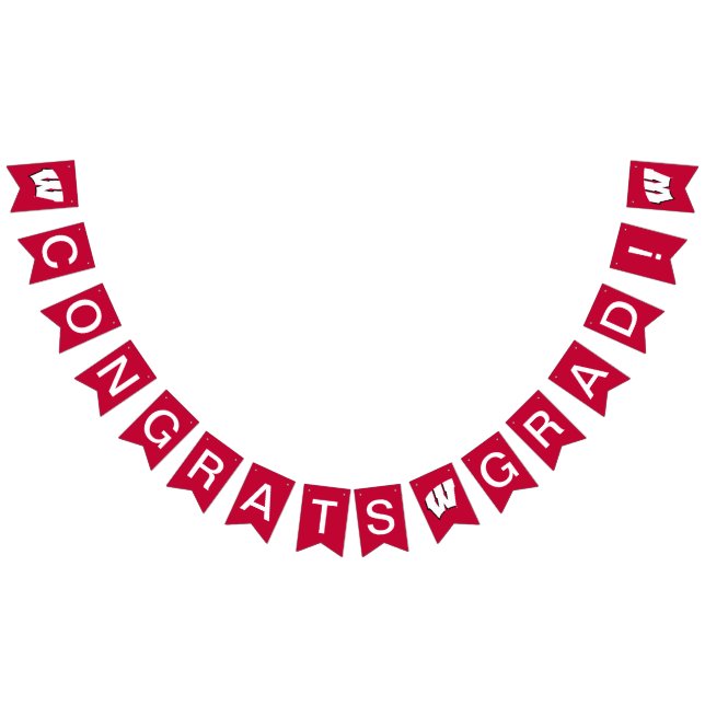 University of Wisconsin | Graduation Bunting Flags (All)