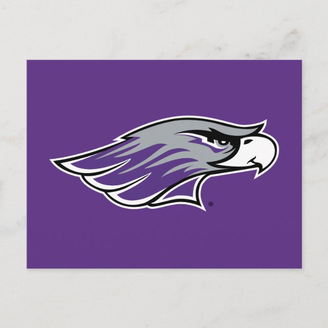University of Wisconsin Warhawks Postcard (Front)