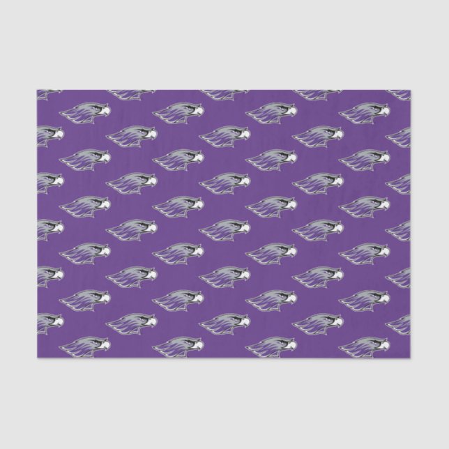 University of Wisconsin Warhawks Tissue Paper (Front)