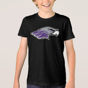 University of Wisconsin Warhawks Tri-Blend Shirt