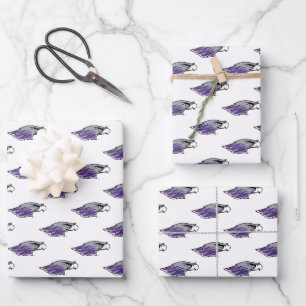 University of Wisconsin Warhawks Wrapping Paper Sheets