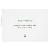 Unknown flowers, Alpe di Siusi, Italy Cards (Back Horizontal)