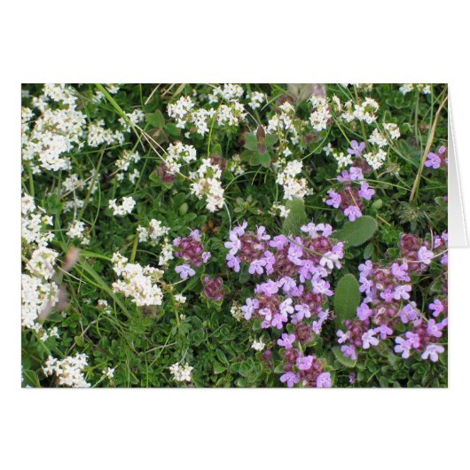 Unknown flowers cards (Front Horizontal)