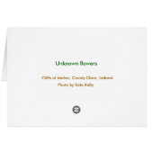 Unknown flowers cards (Back Horizontal)