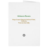 Unknown flowers, Kings Canyon/Sequoia Cards (Back)