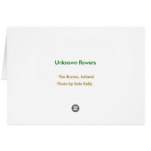 Unknown flowers, The Burren, Ireland (Back Horizontal)