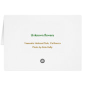 Unknown flowers, Yosemite National Park (Back Horizontal)