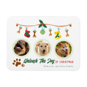 Unleash The Joy Of Christmas Magnet