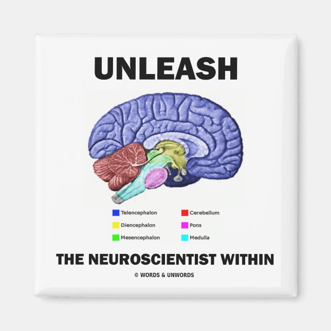 Unleash The Neuroscientist Within (Brain Anatomy) Magnet (Front)