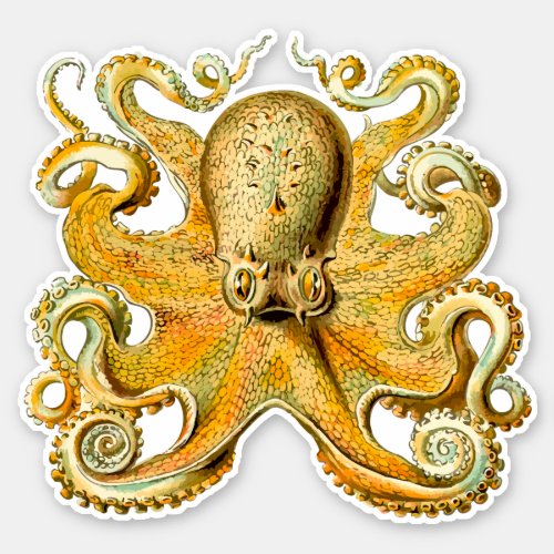 Unleash Your Inner Explorer with Vintage Octopus Sticker