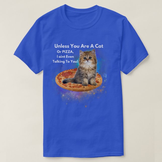 Unless You Are A Cat Or Pizza, I Aint Even Talking T-Shirt (Design Front)