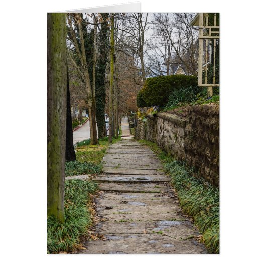 Unlevel Pathway (Front)