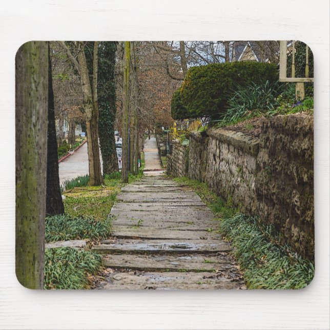 Unlevel Pathway Mouse Pad (Front)