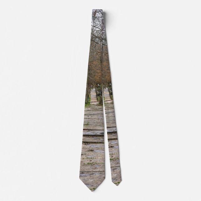 Unlevel Pathway Neck Tie (Front)