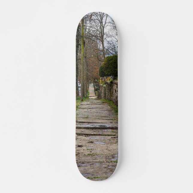 Unlevel Pathway Skateboard Deck (Front)