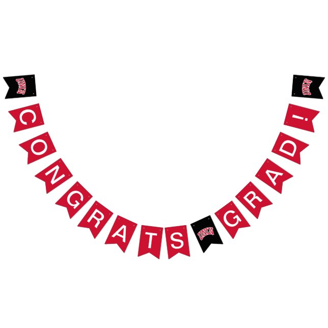 UNLV Graduation Bunting Flags (All)