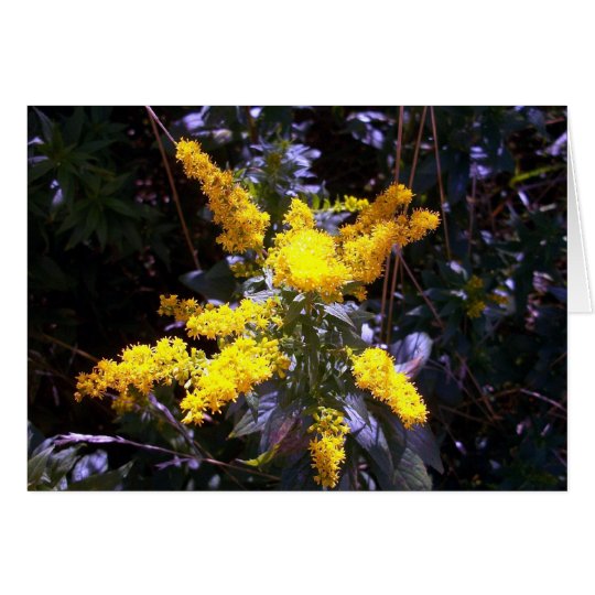 Unmellow Yellow Card