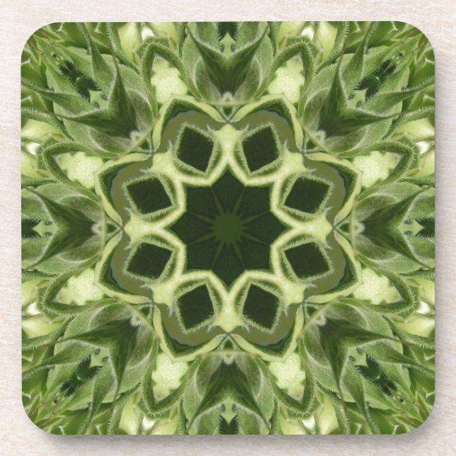 Unopened Sunflower Drink Coaster (Front)