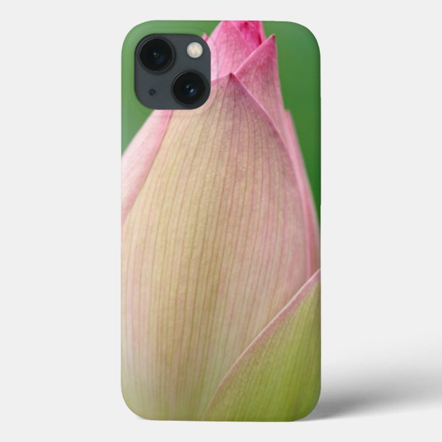 Unopened Water Lily Bulb, Durban Botanical Case-Mate iPhone Case (Back)