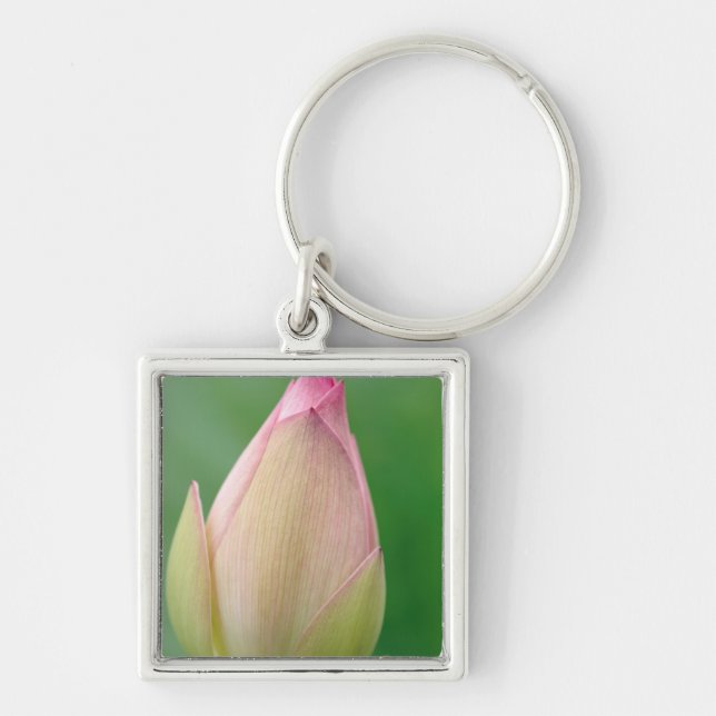 Unopened Water Lily Bulb, Durban Botanical Keychain (Front)
