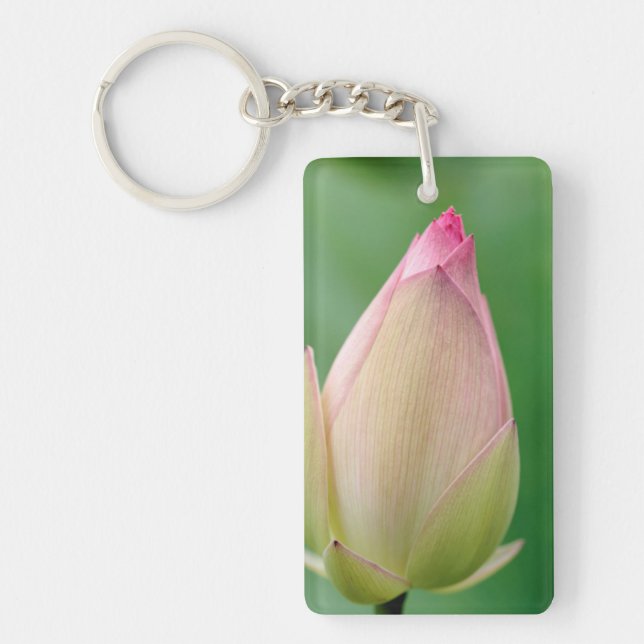 Unopened Water Lily Bulb, Durban Botanical Keychain (Front)