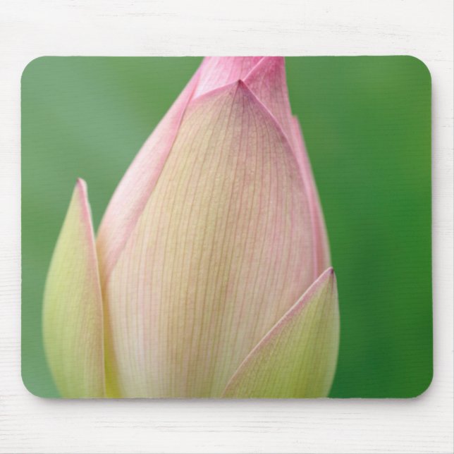 Unopened Water Lily Bulb, Durban Botanical Mouse Pad (Front)