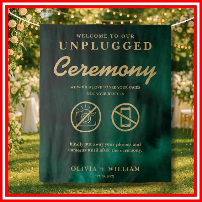 Unplugged Ceremony Emerald Green & Gold Backdrop (Creator Uploaded)