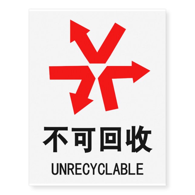 Unrecyclable ~ Chinese Language Hanzi Sign Temporary Tattoos (Front)