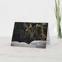 "Unseen Minnesnowta" Christmas Card