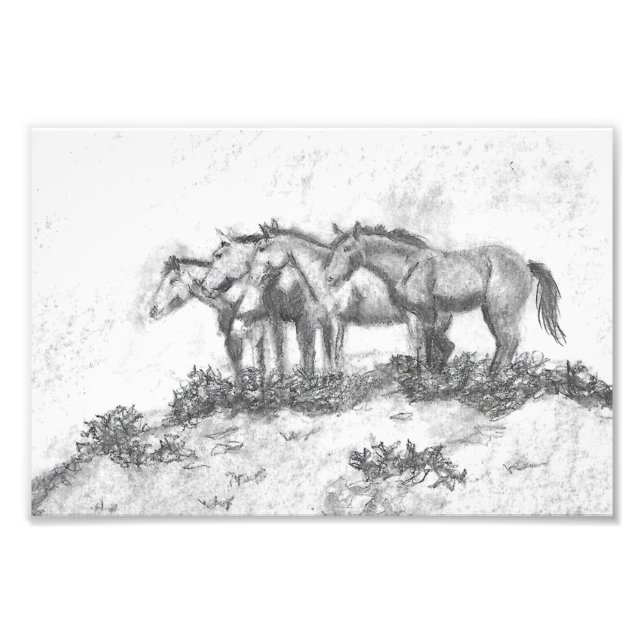 Untamed Photo Print (Front)