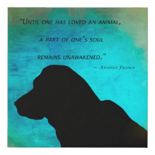 Until One Has Loved An Animal Faux Canvas Print