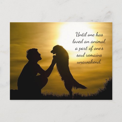 Until One Has Loved An Animal Holiday Postcard