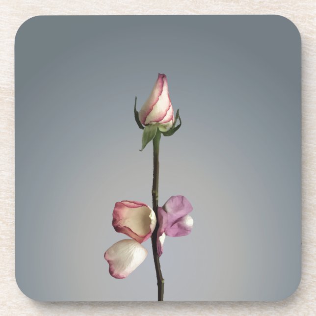 Until the last petal... beverage coaster (Front)